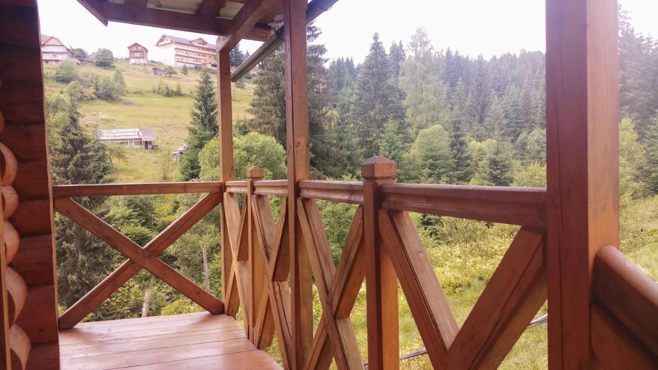 "Лісова Ягода" Iablunîțea Exterior foto