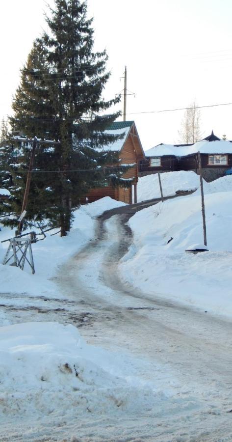 "Лісова Ягода" Iablunîțea Exterior foto