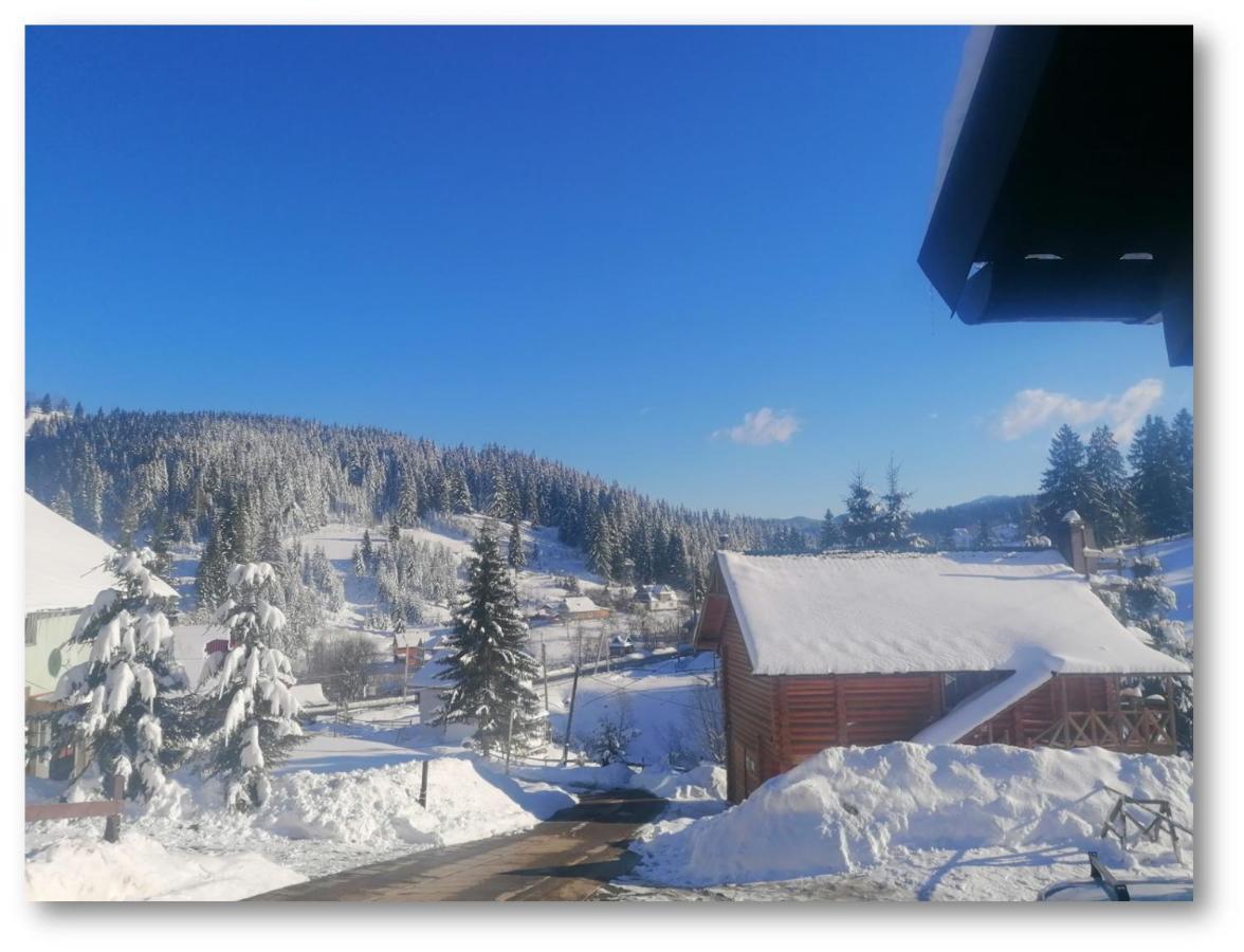 "Лісова Ягода" Iablunîțea Exterior foto